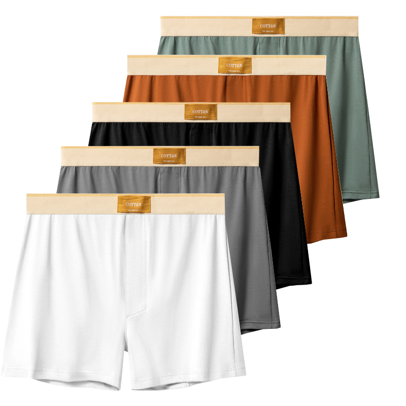 4 Stuks Mannelijke Pijl Broek  - Boyshort Underwear recensie en prijs